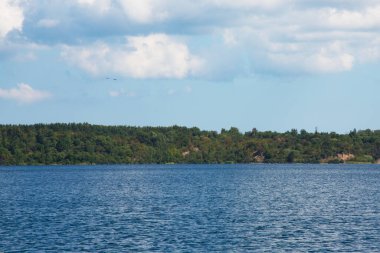 Mavi göl mavi gökyüzü ve güneşli bir yaz gününde sahilde orman. Açık hava eğlencesi