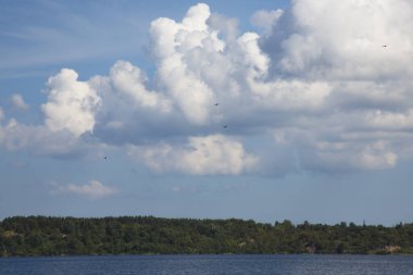 Mavi göl mavi gökyüzü ve güneşli bir yaz gününde sahilde orman. Açık hava eğlencesi