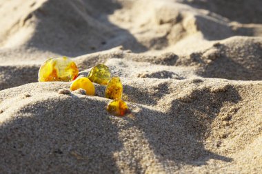 Kumlu plajda Amber. Bir grup şeffaf mineral güneş taşı arkaplanda. Eski reçine. Yarı değerli taşlar. Baltika