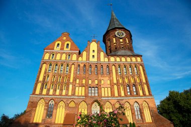 Kalininingrad, Rusya 'daki Immanuel Kant Katedrali. Eski Konigsberg. Anıt, mavi gökyüzünün arka planında tarihi bir binadır.