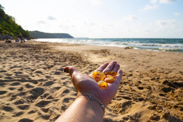 Amber in the palm of your hand. A group of pieces of transparent mineral Sunstone on a woman\'s hand against the background of the sea and sand. Semi-precious stones. The Baltic sea