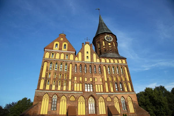 Catedral Immanuel Kant Kaliningrado Rusia Konigsberg Monumento Edificio Histórico Fondo —  Fotos de Stock