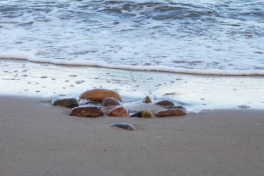 Kumlu sahilde deniz dalgaları ve kayalar. Denizde tatil, yüksek gelgit