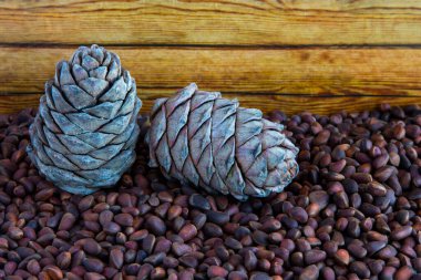 Çam fıstığı. Ahşap bir masada çam fıstığı ve koni. Kabukta Sibirya çamı tohumları. uygun beslenme