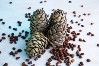 Çam fıstığı. Ahşap bir masada çam fıstığı ve koni. Kabukta Sibirya çamı tohumları. uygun beslenme