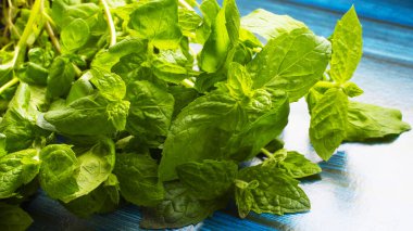 Tahta masa üzerinde taze nane. Kopya alanı