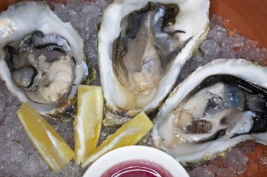 Buzlu, limonlu ve soslu taze istiridye. Restoranda kabuklu deniz ürünleri, lüks, sağlıklı bir akşam yemeği, deniz ürünleri.