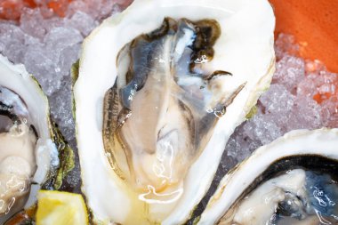 Buzlu, limonlu ve soslu taze istiridye. Restoranda kabuklu deniz ürünleri, lüks, sağlıklı bir akşam yemeği, deniz ürünleri.