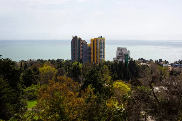 Bird\'s eye view of the sea from the city. Panorama of the city of Sochi, Russia, observation deck of the Arboretum Park