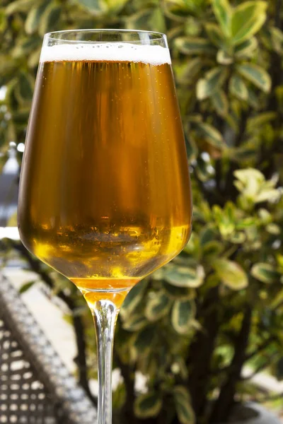 Bardakta bira, şarap için tasarlanmış. Konsept - hangi tabaktan alkol içileceği önemli değil. Yazın açık hava kafe, meşrubat, bira, açık hava eğlencesi, bar menüsü, alkollü içecekler, kafe menüsü, restoran menüsü, alkol.,