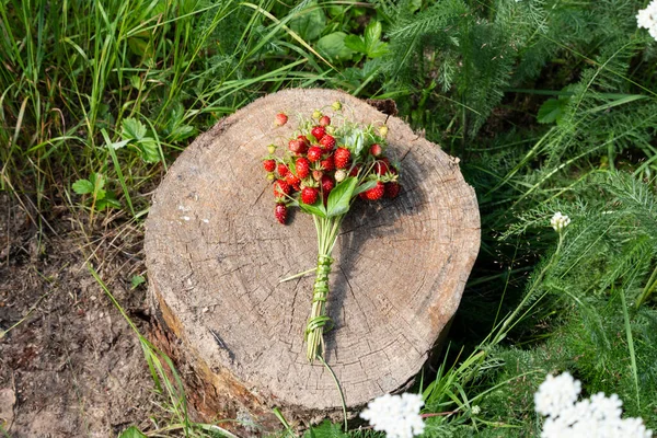 딸기는 그루터기 있습니다 나무를 배경으로 딸기를 클로즈업해 딸기와 스트로베리 — 스톡 사진