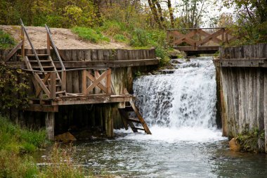 Küçük şelale ve küçük temiz gölet, ormanın içinde, sonbahar.