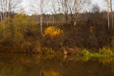 Sonbahar renkleri. Sonbahar geldi. Gölde renkli yapraklar var..