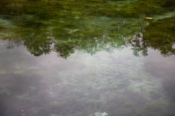 Reflexãoreflexões Árvores Água Lago Paisagem Outono Efeito Fotografia Vintage — Fotografia de Stock