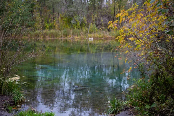 Shore Lake Autumn Forest Autumn Landscape — Stock Photo, Image