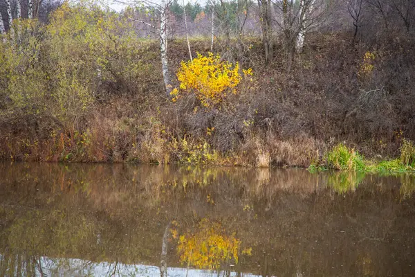 Herfst kleuren. Herfst tijd. Kleurrijke gevallen bladeren in het meer. — Stockfoto