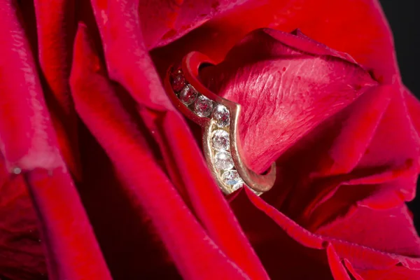 Diamentowy pierścionek zaręczynowy ze ścieżką diamentów i czerwoną różą — Zdjęcie stockowe