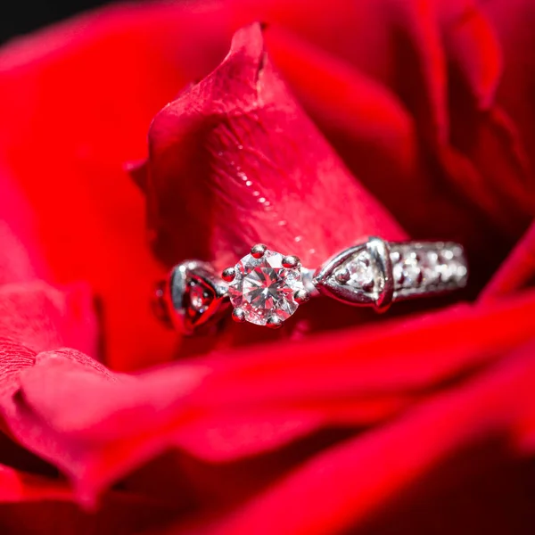 White gold ring with diamonds in red rose petals — Stock Photo, Image