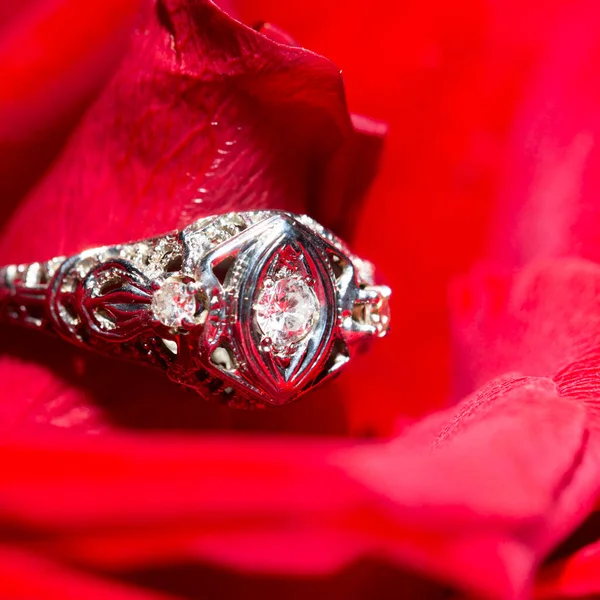 Anello in platino con un diamante su una rosa rossa, primo piano — Foto Stock