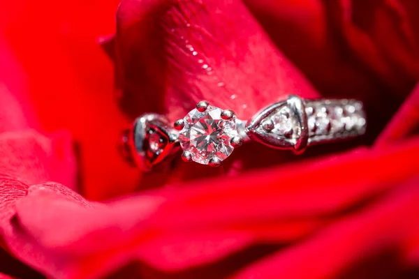 Fehér Arany Gyűrű Gyémántokkal Vörös Rózsaszirmokban Makró — Stock Fotó