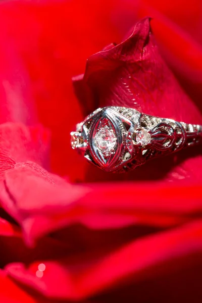 Platina Ring Met Een Diamant Een Rode Roos Close Harten — Stockfoto