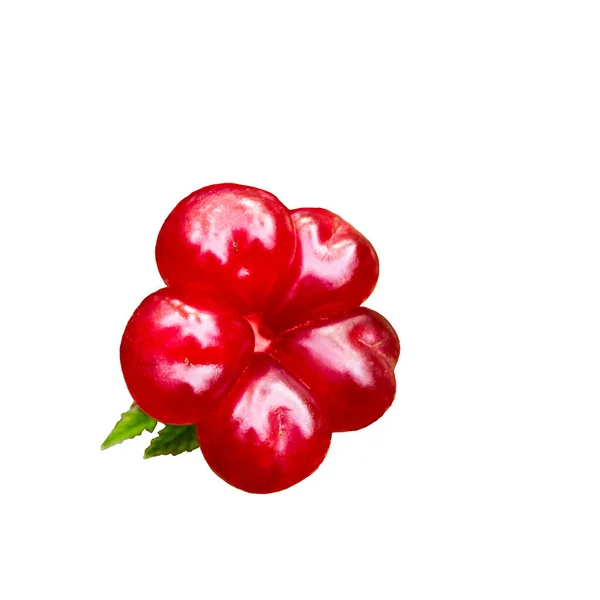 Reife Steinbramble Beere Rubus Saxatilis Isoliert Auf Weißem Hintergrund — Stockfoto