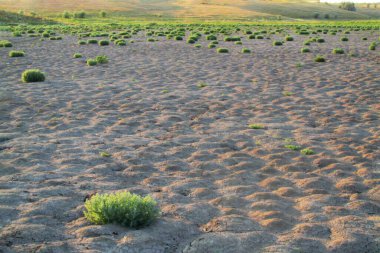 Kuraklık arka planda kuru nehir yatağı