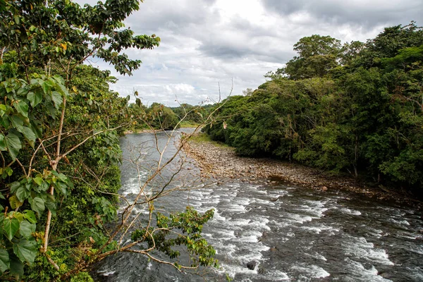 Lanskap Sungai Sarapiqui Kosta Rika Hutan Hujan Terlihat Dari Jembatan — Stok Foto