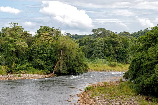 Tájkép Sarapiqui Folyó Costa Rica Esőerdőben Híd Porto Viejo Sarapiqui — Stock Fotó