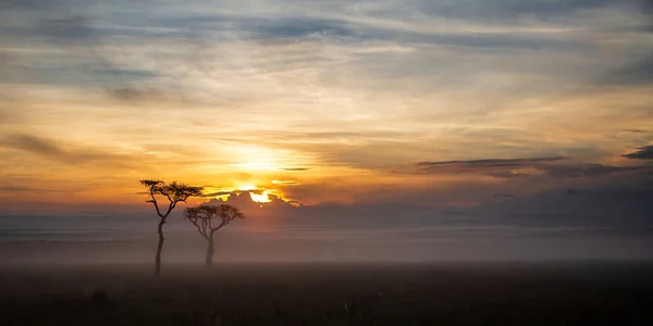 Lanskap Saat Matahari Terbit Dengan Kabut Atas Dataran Masai Mara — Stok Foto