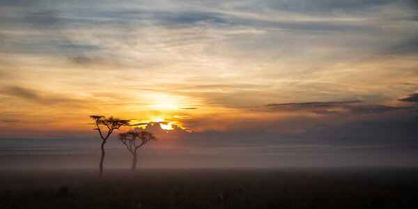 Landscape at sunrise with mist over the plains, Masai Mara National Reserve, Kenya