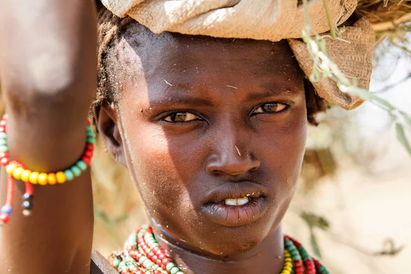 Omorate Omo River Valley エチオピア 2010年12月24日 ダサネク族の若い女性の肖像画 ダサネク族は原始的な部族であり 女性はしばしばネックレスクラスや他の宝石を持っています — ストック写真