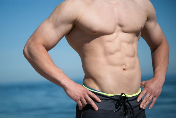 Male muscular upper body — Stock Photo, Image