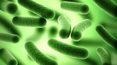 Yeşil arka plandaki bakteriler. Prokaryotik mikroorganizmalar. Bacillus. 3d illüstrasyon.