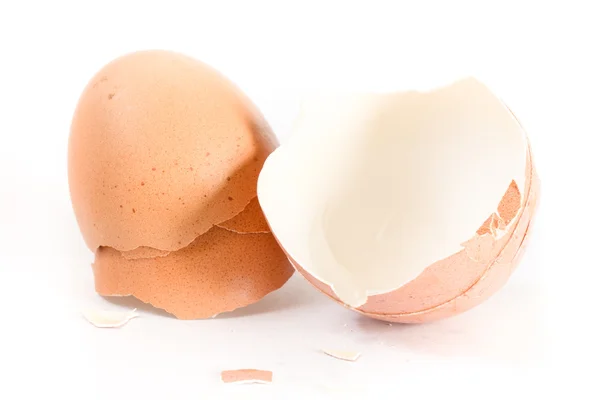 Invólucro de ovo no fundo branco — Fotografia de Stock