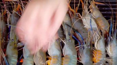 Fırında taze karides ya da deniz ürünleri ızgarası.