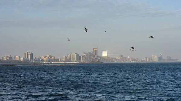 Baku Cityscape, sea and birds — Stock Photo, Image