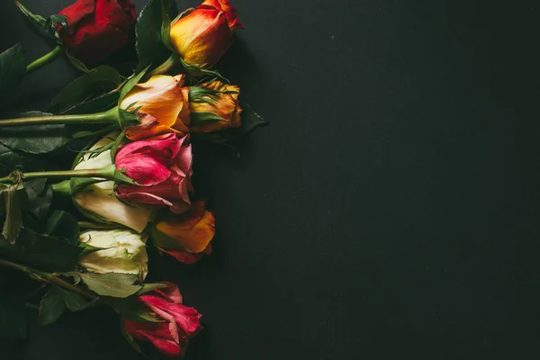 Close up background of pink, red, white roses — стоковое фото