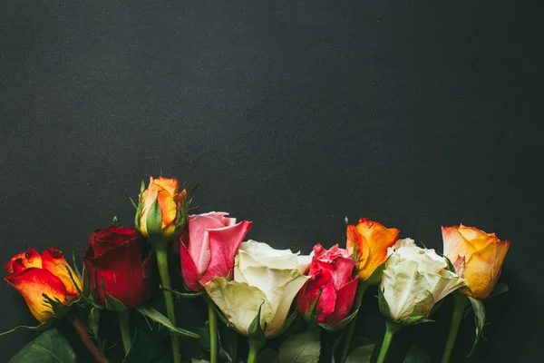 Nahaufnahme Hintergrund aus rosa, roten, weißen Rosen — Stockfoto