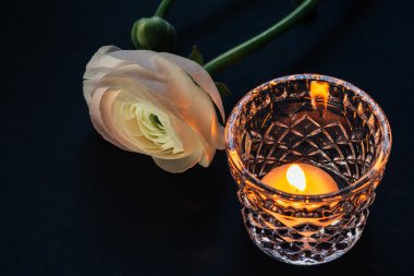 Düğünçiçeği instagram etkileri ile siyah arka plan üzerine