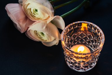 Düğünçiçeği instagram etkileri ile siyah arka plan üzerine