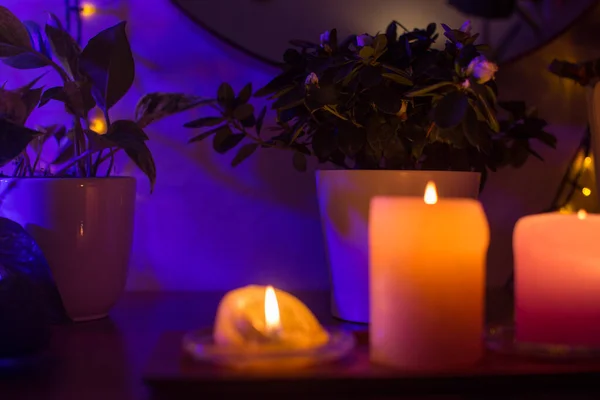 Ξύλινο δίσκο με συλλογή από διαφορετικά κεριά που καίγονται, λάμπα νύχτα και φυτά στο σπίτι σε γλάστρες στέκεται στο theable. Άνετο χειμωνιάτικο ντεκόρ. Διακόσμηση. Κομψή σύνθεση, κοντινό πλάνο. — Φωτογραφία Αρχείου
