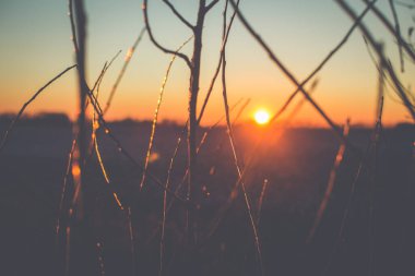 Güneşli bir günde kar ve buzla kaplı bir kış parkında gün batımı ya da gün doğumu. Peyzaj.