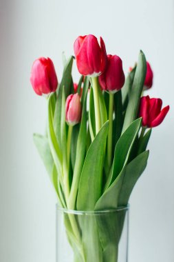 Beyaz arka planda bir buket lale. Çiçekli kartpostal