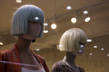 peruk dükkanı konsepti. Manken kafalarında peruklar