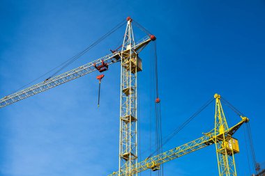 Mavi gökyüzüne karşı iki sarı vinç .