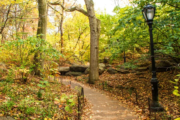 Un sentiero nel Central Park — Foto Stock