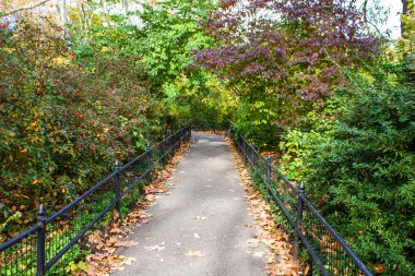 Central Park'ta bir patika