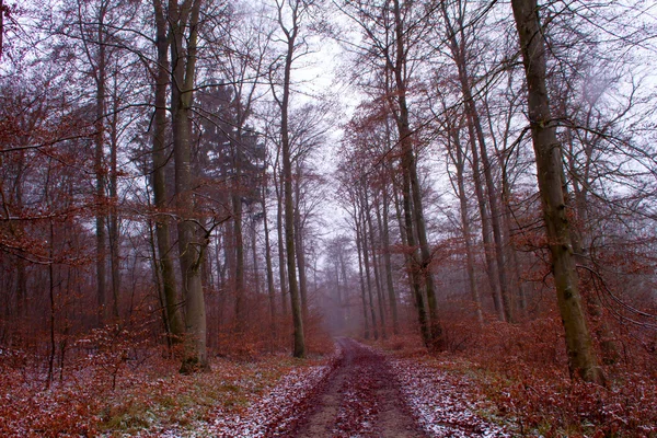 De jonge vrouw blazen de sneeuw — Stockfoto