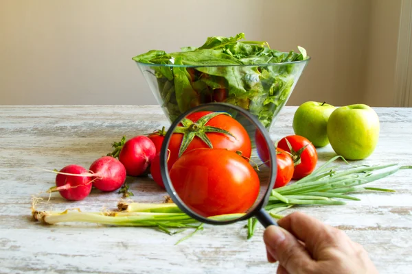 Analyzing food – stockfoto